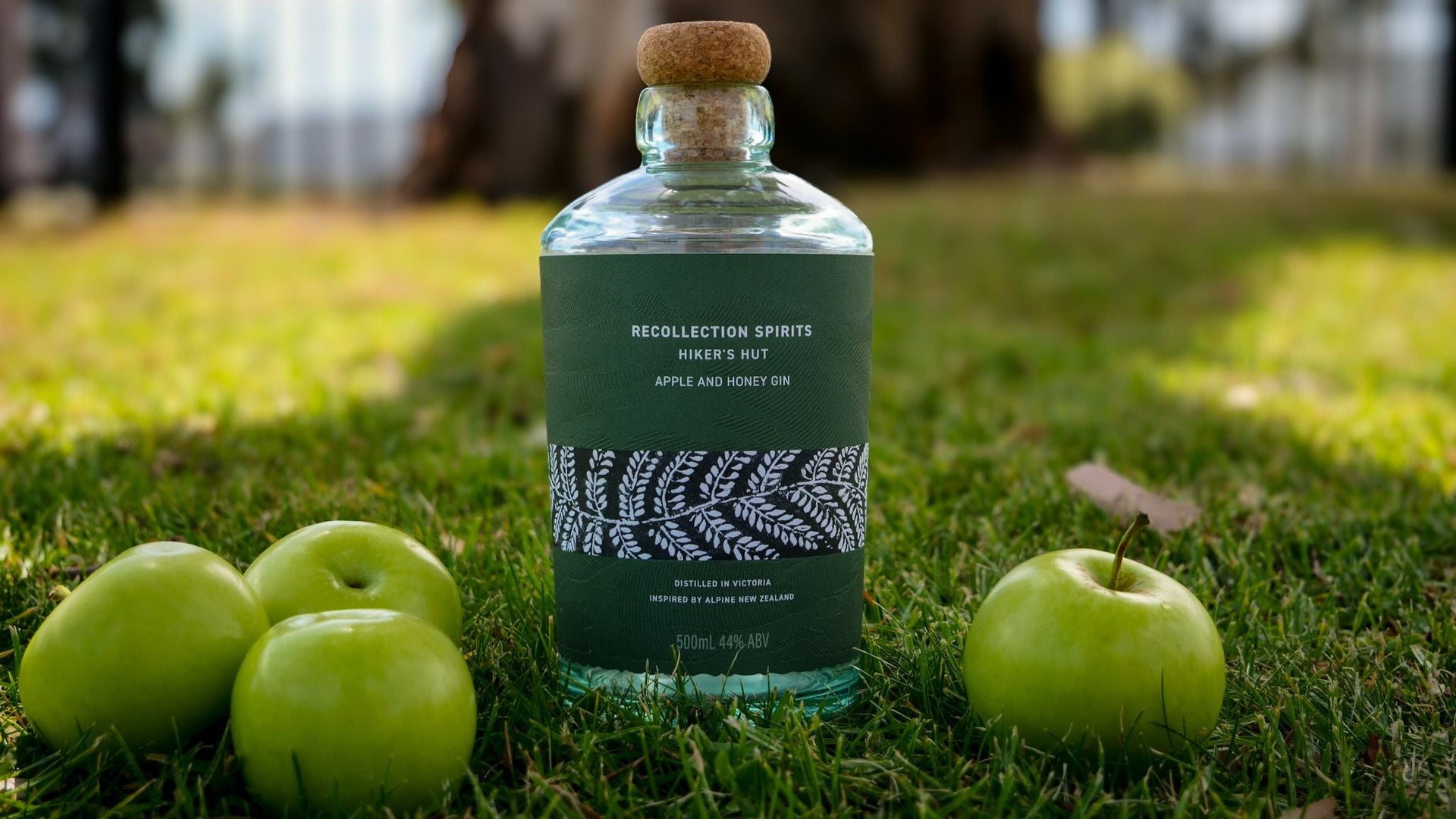 Bottle of apple and honey gin on grass with apples around